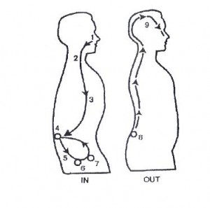 qigongDiagram